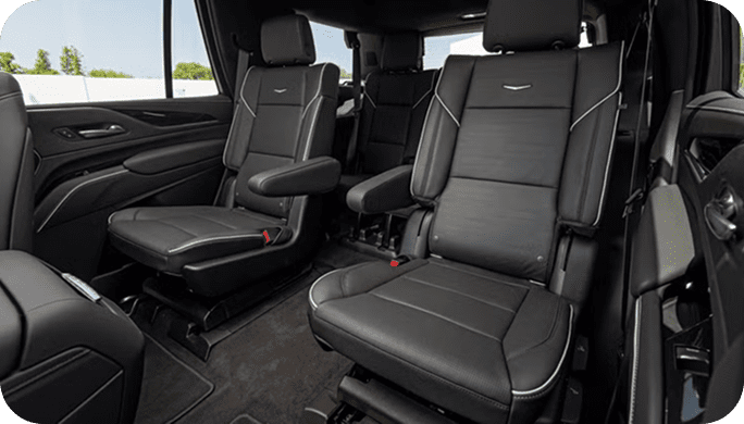 Information & Support