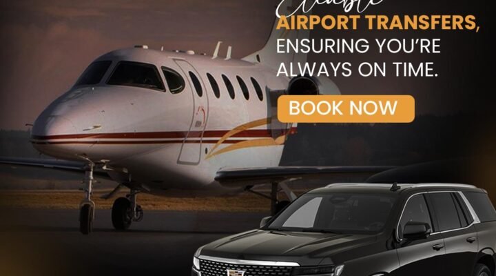 Sprinter chauffeur service